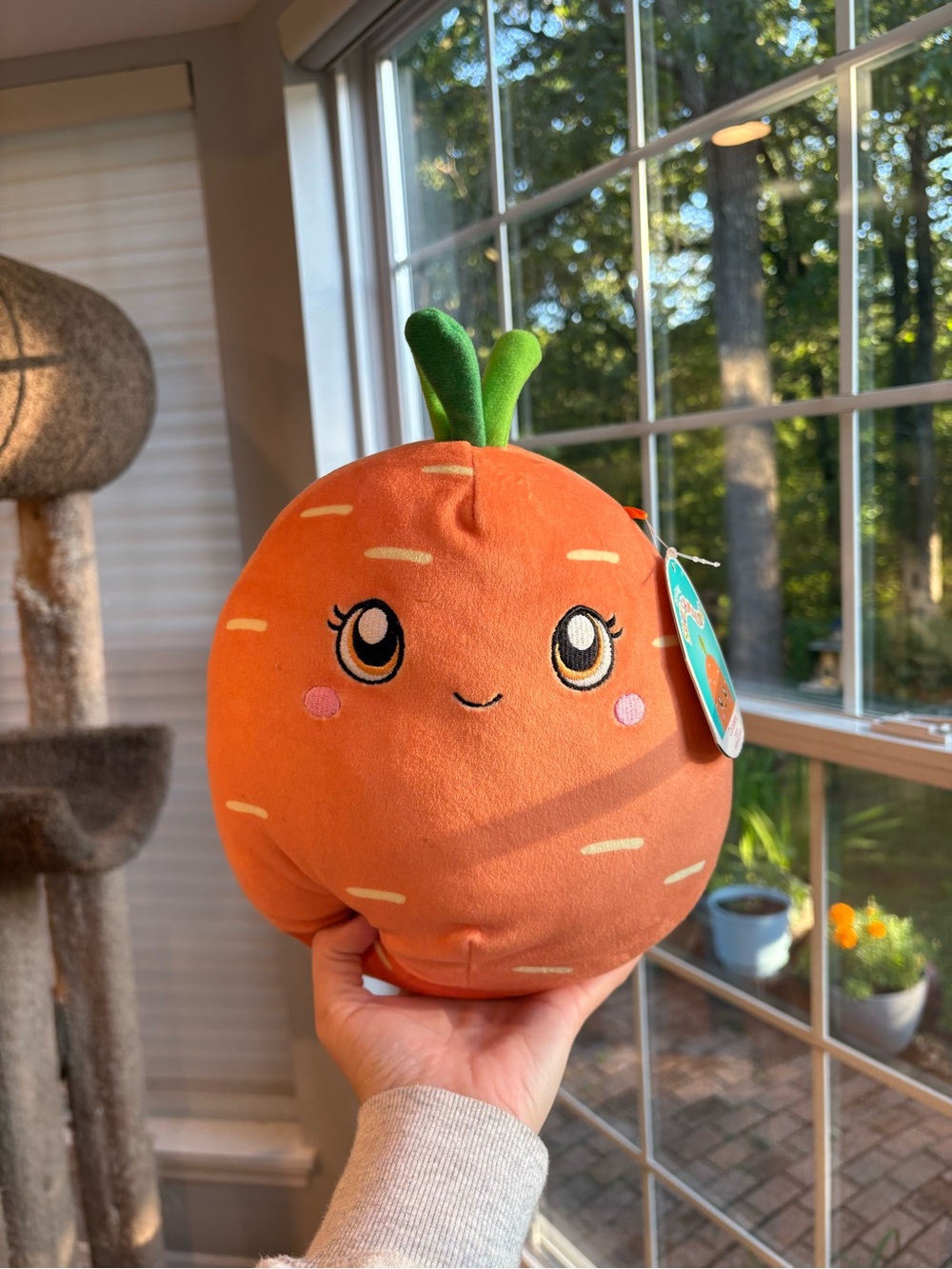 caroleena the carrot squishmallow NWT 8in OG